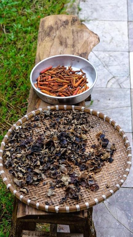 Séjour chez l'habitant Vườn Nhà Ngoại Garden