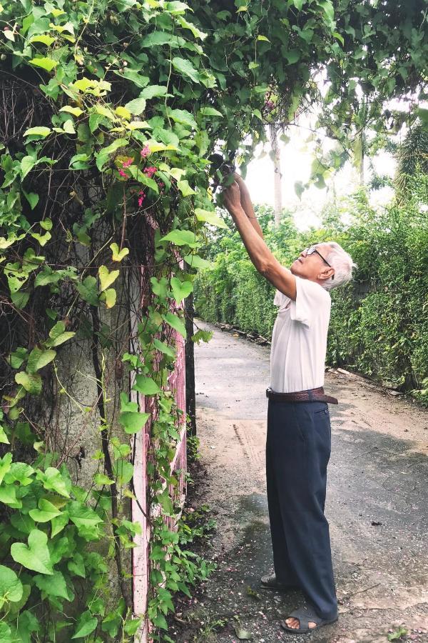 Vườn Nhà Ngoại Garden Séjour chez l'habitant Hô Chi Minh-Ville