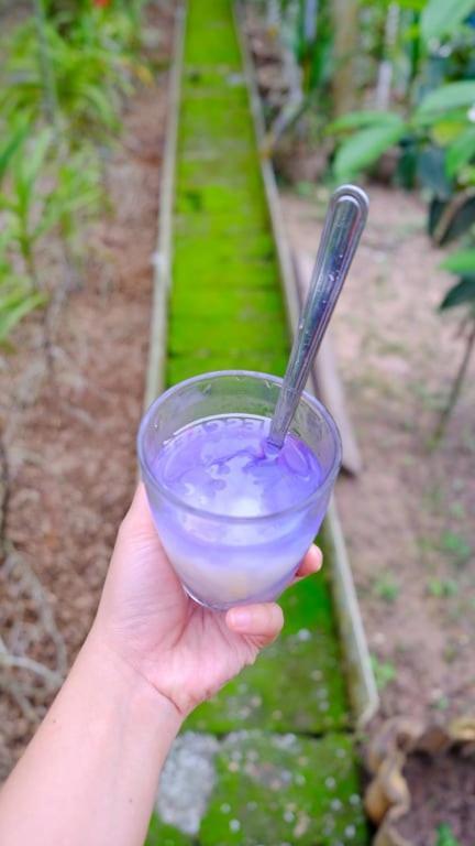 Séjour chez l'habitant Vườn Nhà Ngoại Garden *